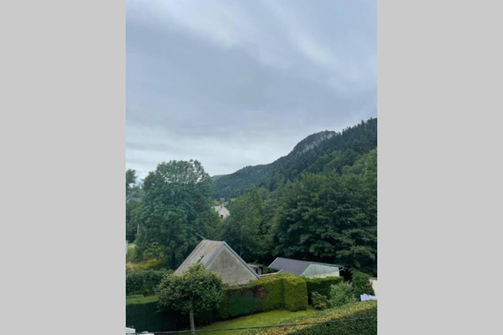 Les Oiseaux T2 Apartment Le Mont-Dore Exterior photo